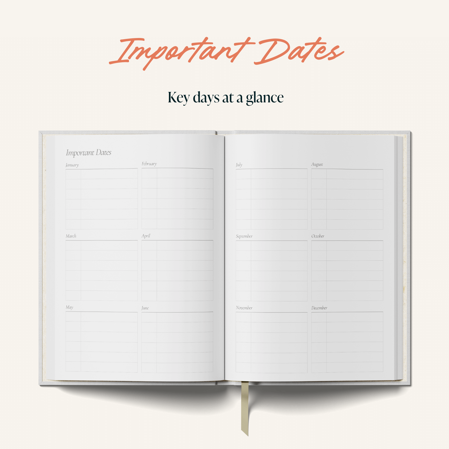 Daily Planner - Pink Stripes