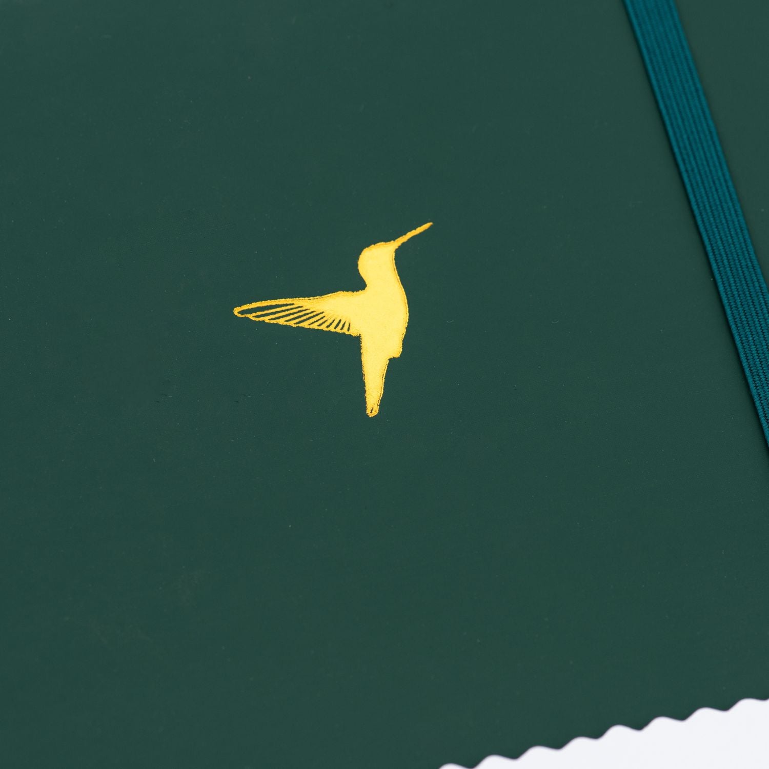 Lined Journal - A5 - Hummingbird