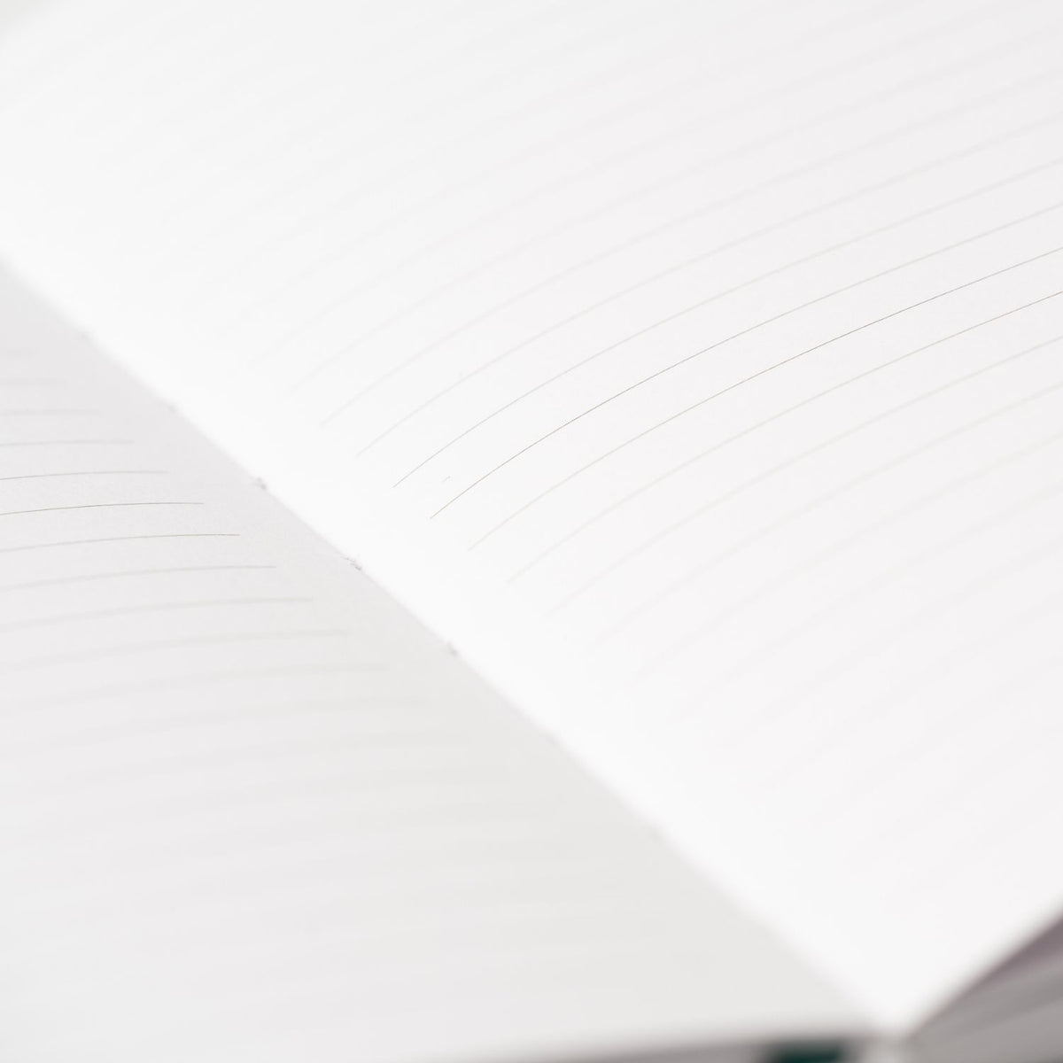 Journal ligné - A5 - Colibri