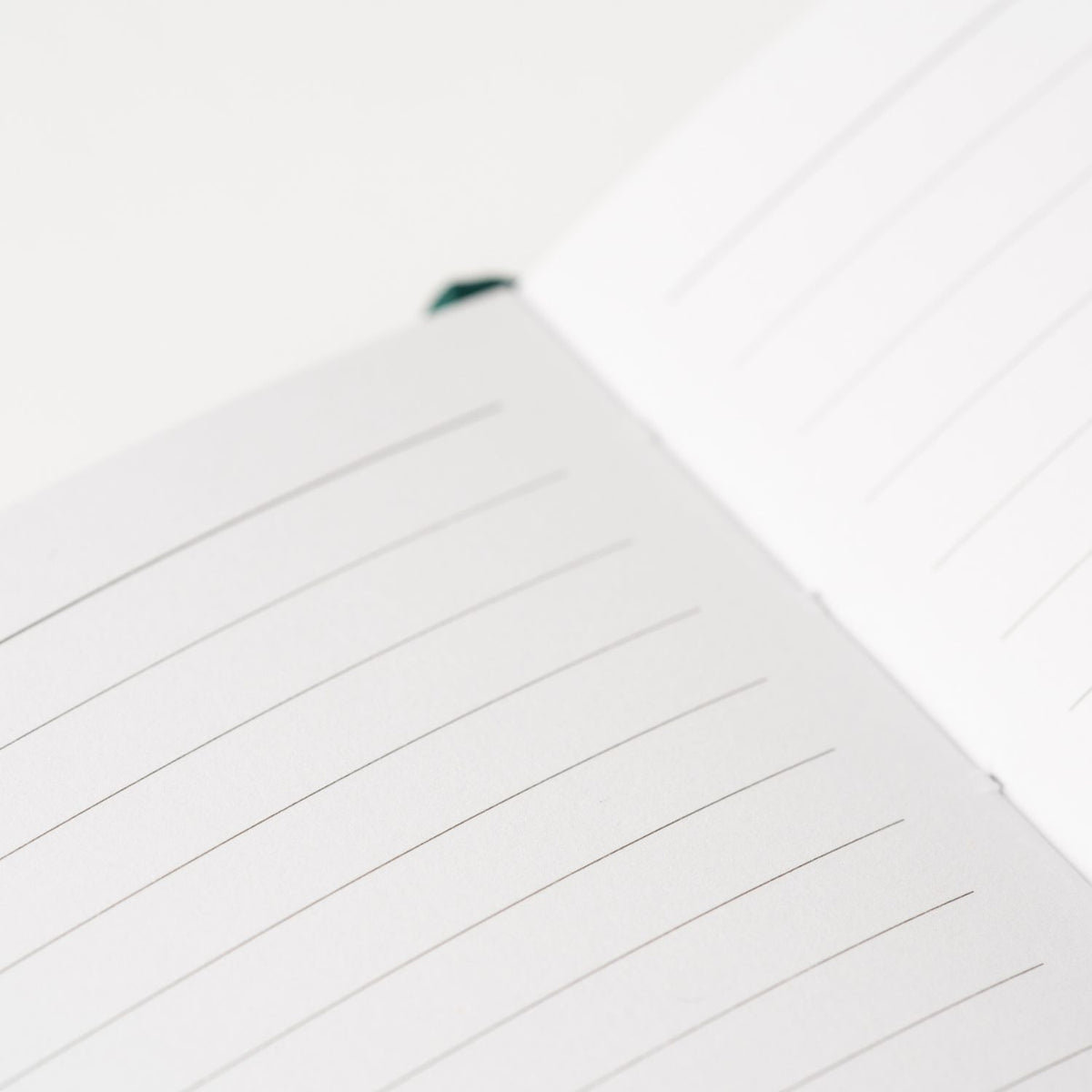 Journal ligné - A5 - Colibri